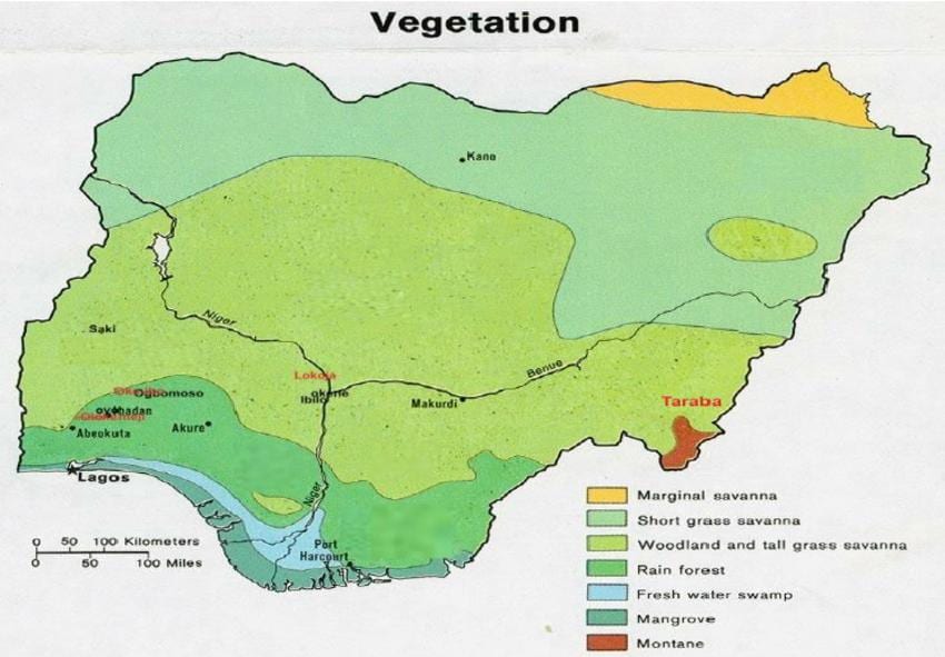வரைபடம் நைஜீரியா காட்டும் vegetation